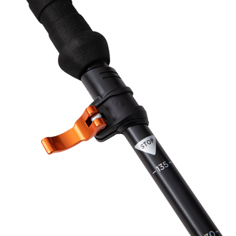 Load image into Gallery viewer, ATEPA Alpenstock Trekking Poles - Pair
