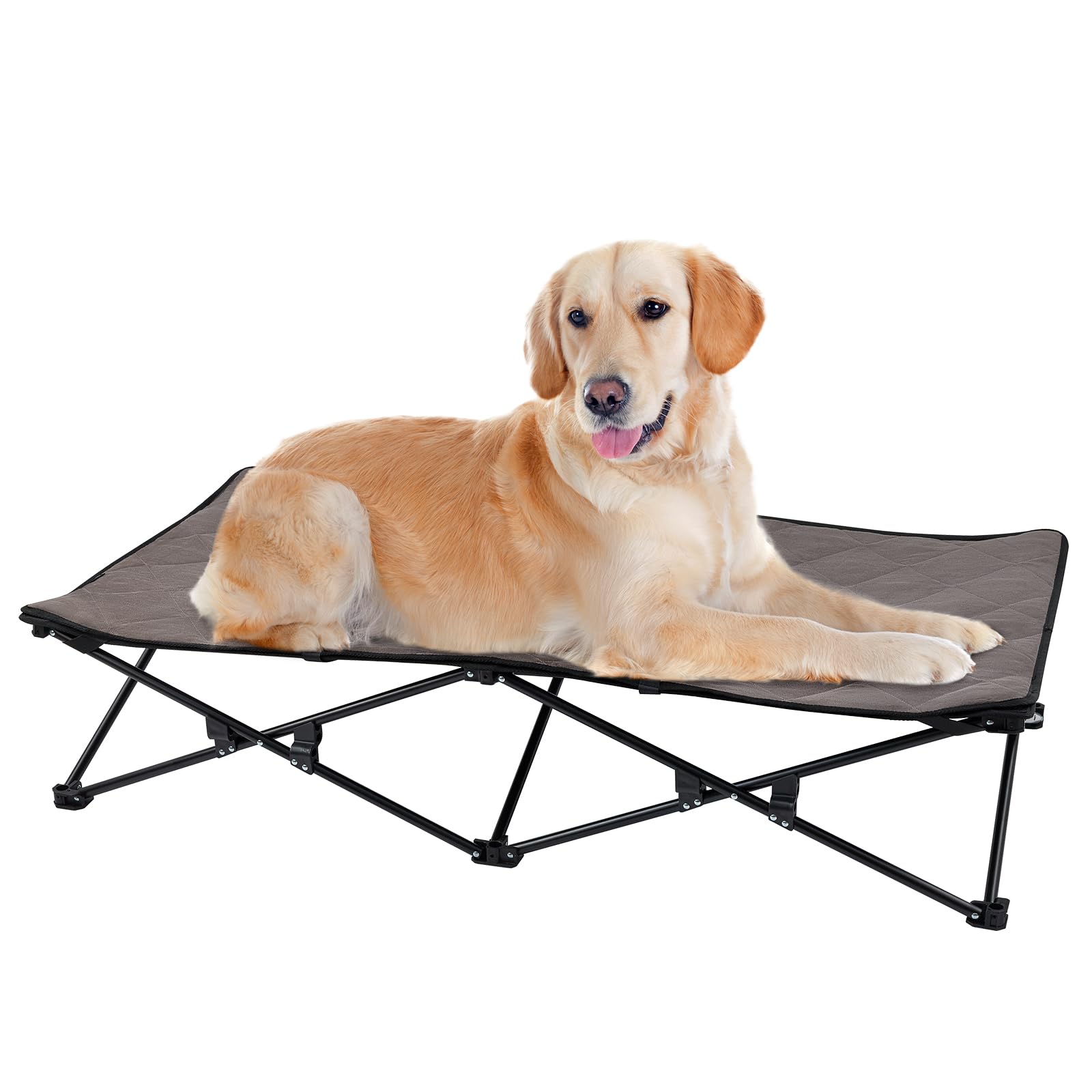 KingCamp PETS SEDUM Dog Cot Elevated Dog Bed – BRoadout